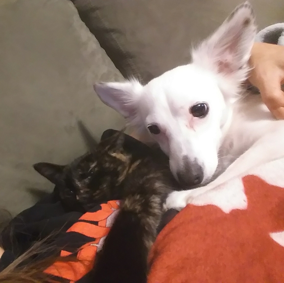 All things spiffy xP - Picture 3 of 4